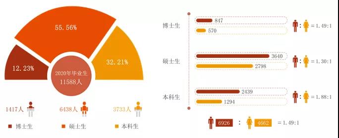 学历分布与性别比例